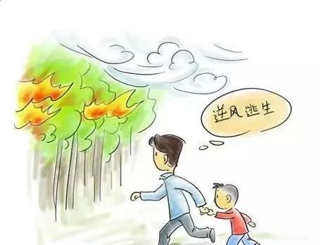 清明防火小常识